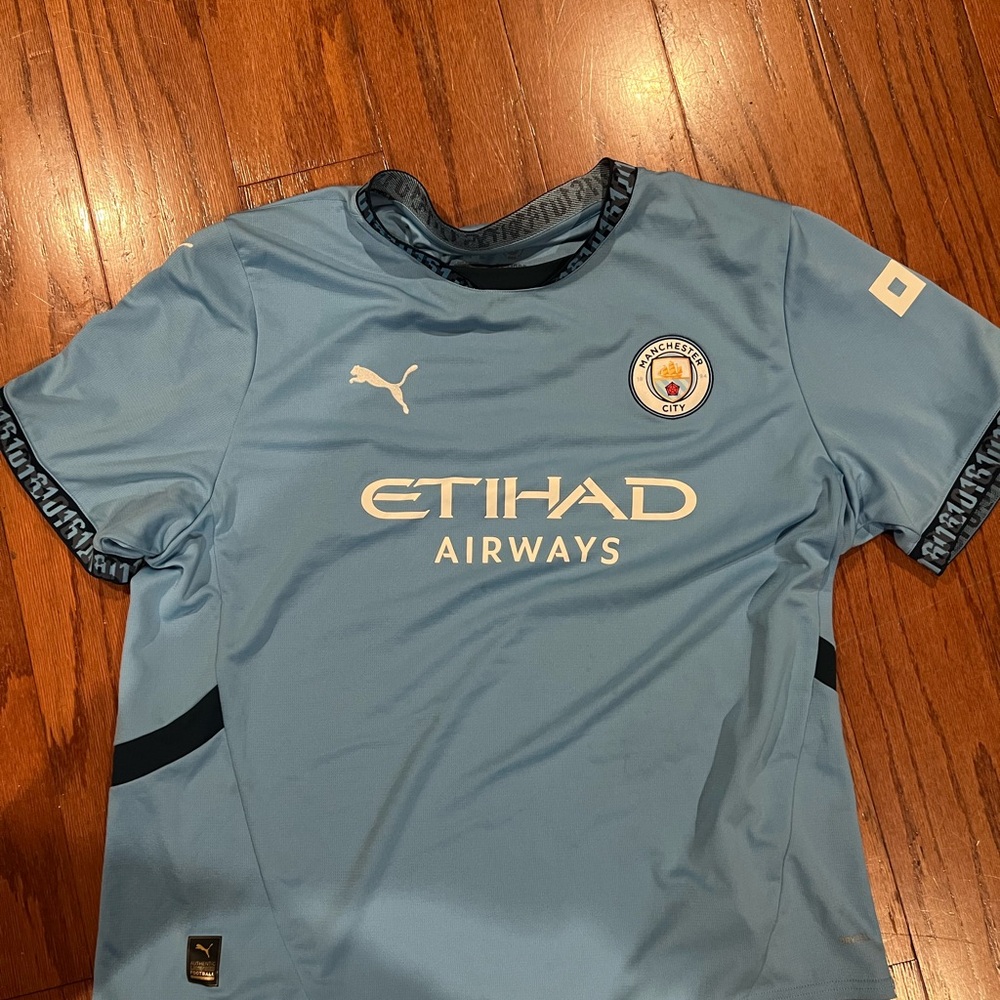Puma men’s  Blue Soccer Jersey